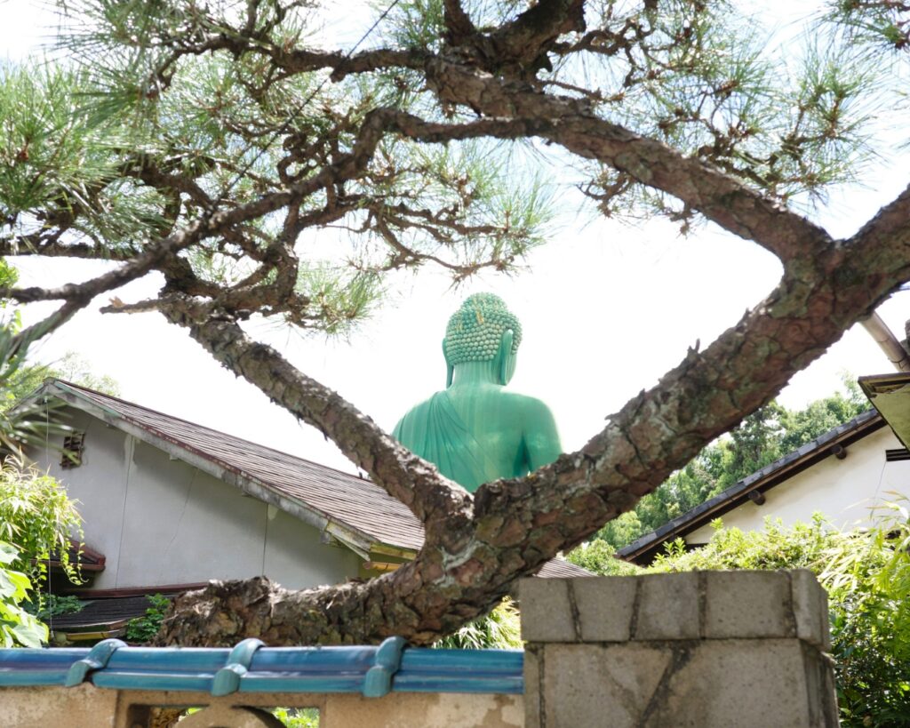 名古屋・千種区の桃厳寺。松の木の枝越しにのぞく名古屋大仏の後ろ姿が、住宅街の中に溶け込む印象的な景色
