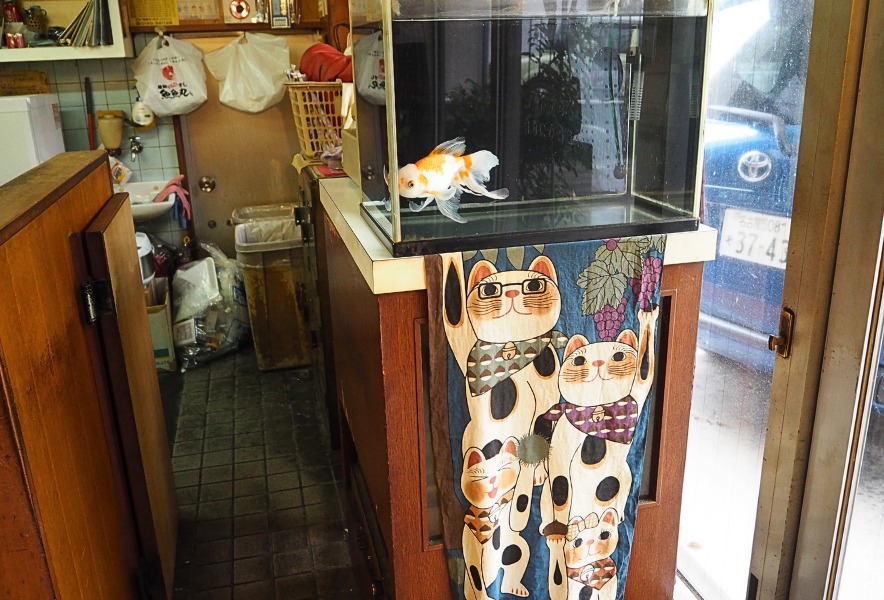 店内入口付近に置かれた金魚の水槽と招き猫の装飾