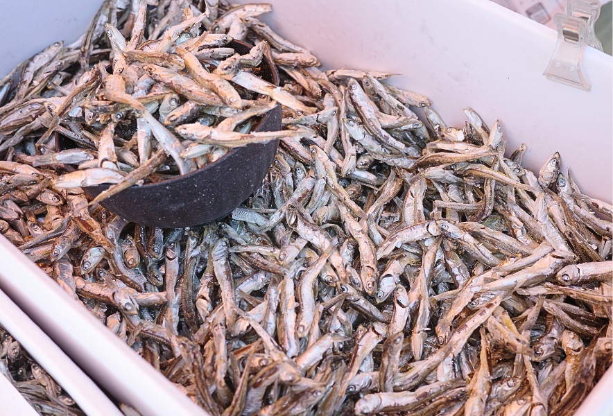 笠寺観音 六の市 露店で量り売りされる小魚