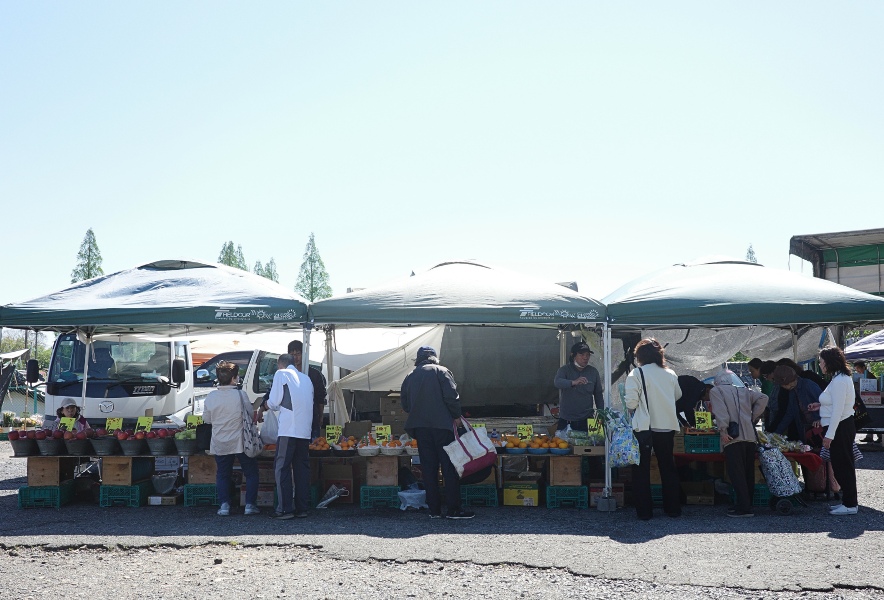 笠寺観音 六の市 並ぶ露店と買い物をする人々