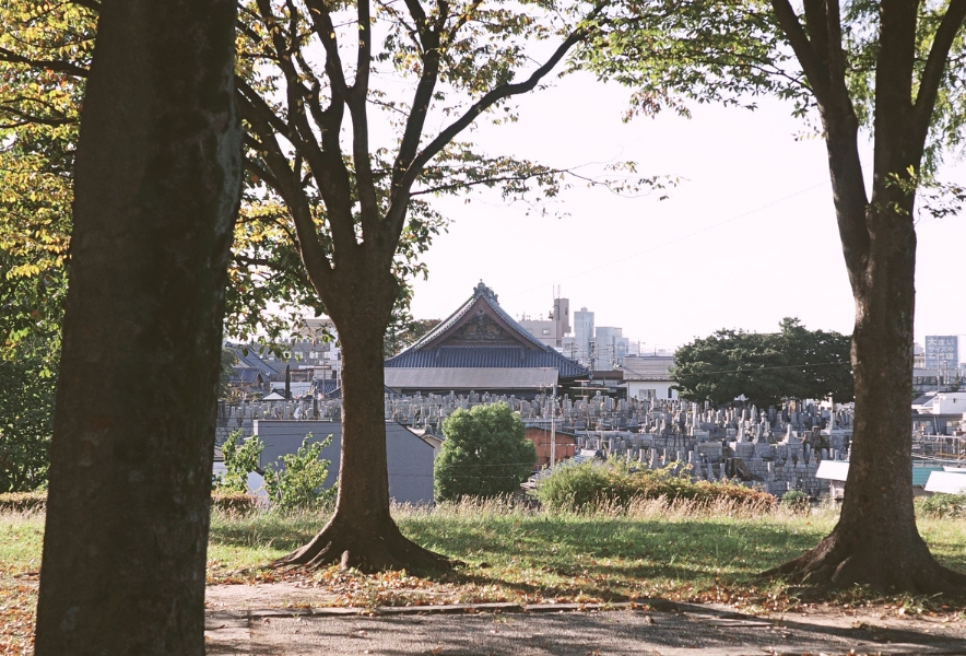 笠寺公園の高台から眺める名古屋市南区の街並み。秋の木々の向こうに見える笠寺観音。
