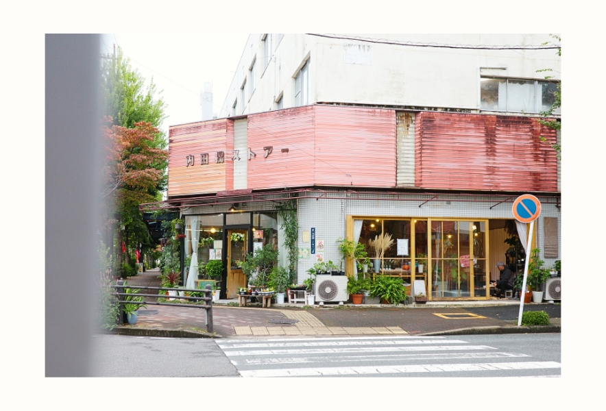 名古屋市南区・内田橋商店街の「内田橋ストアー」。色褪せたピンクの外壁が印象的な建物に、植物店「Calm」が店を構える。