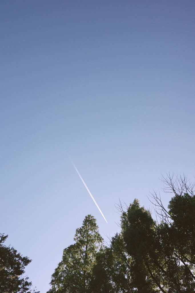 名古屋市南区・笠寺公園の上空に伸びる飛行機雲。秋の青空と公園の木々